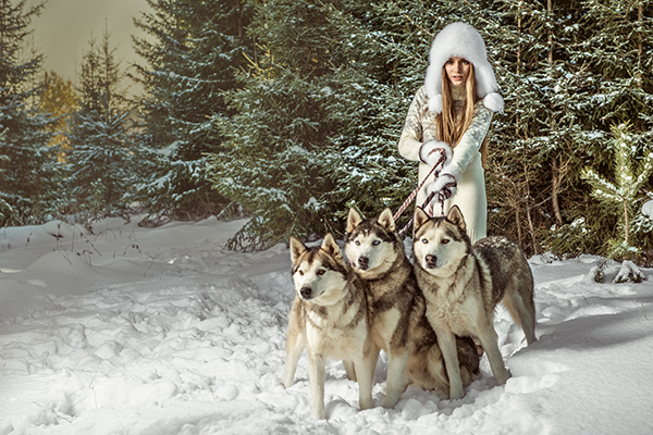 Fashion portrait of beautiful woman with three dogs